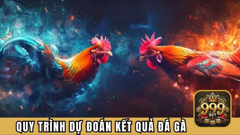 Quy trình dự đoán kết quả đá gà tại 999BET
